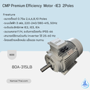CMP Premium Efficiency  Motor -IE3  2Poles B5 132SA